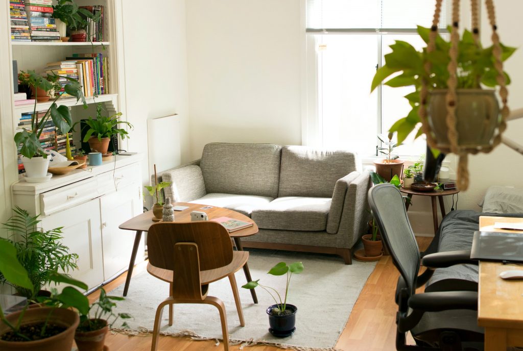 Green Living: 10 Indoor Plants For Your HDB Apartment